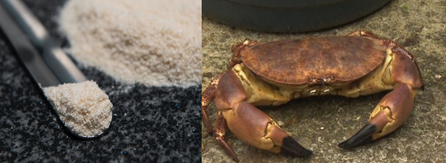 a photo of powder and a crab