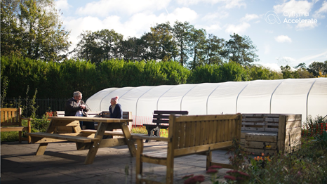 Cynon Valley Green Prescribing Greenhouse 