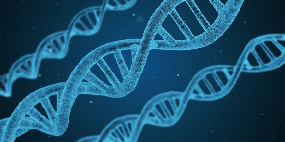 Close up of DNA.