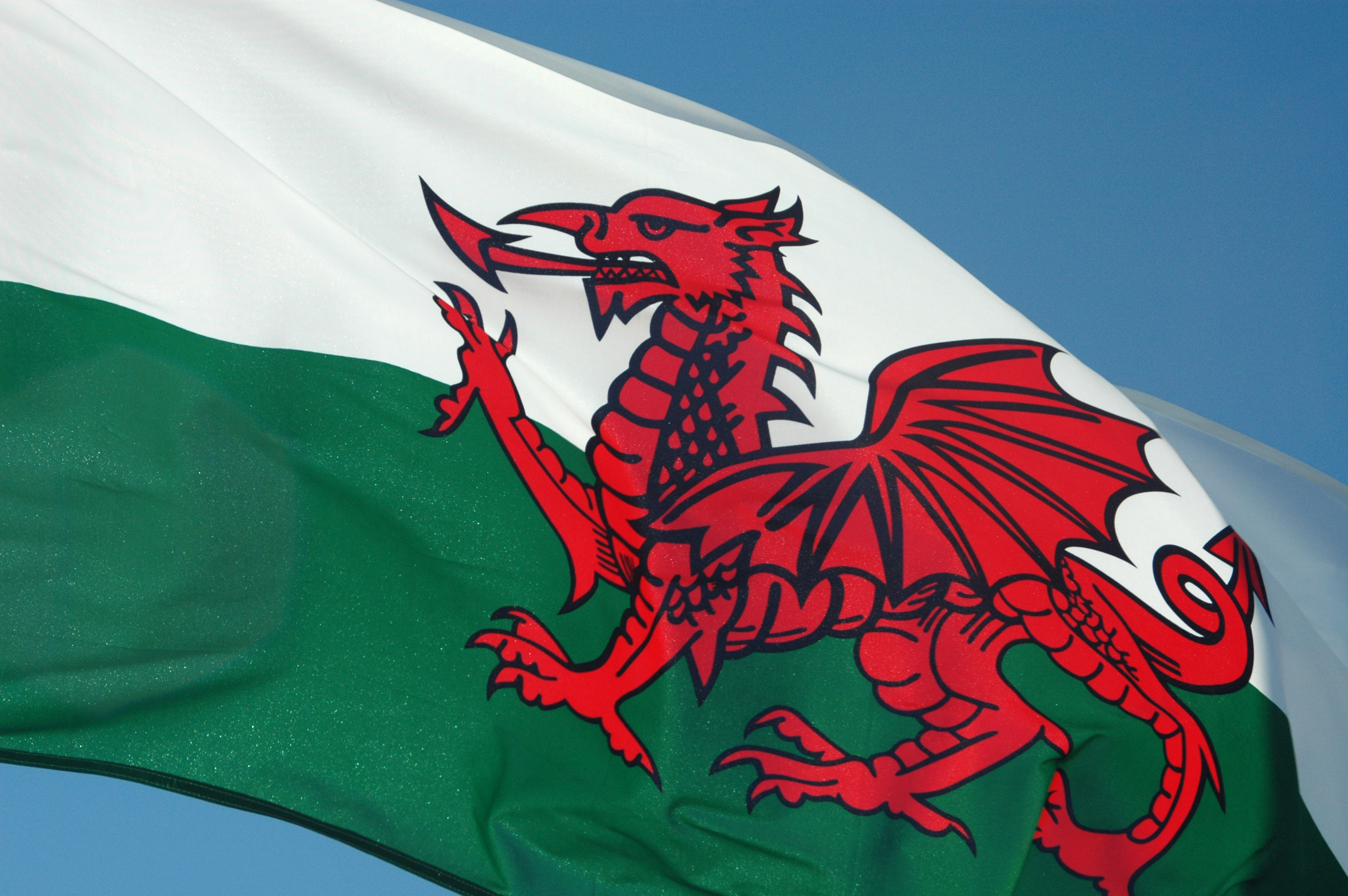 The Welsh flag