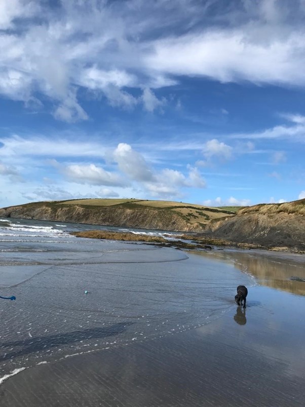 A photo of the beach