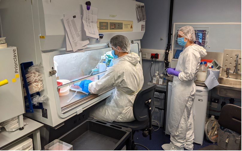 o	Cardiff University’s dedicated Cat-3 biological containment facility for SARS-CoV-2 analysis 